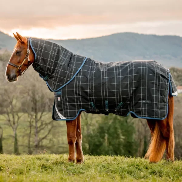 Rhino® Reflectech Plus 250G Vari-Layer Medium Turnout Blanket + FREE Custom Name Tag!